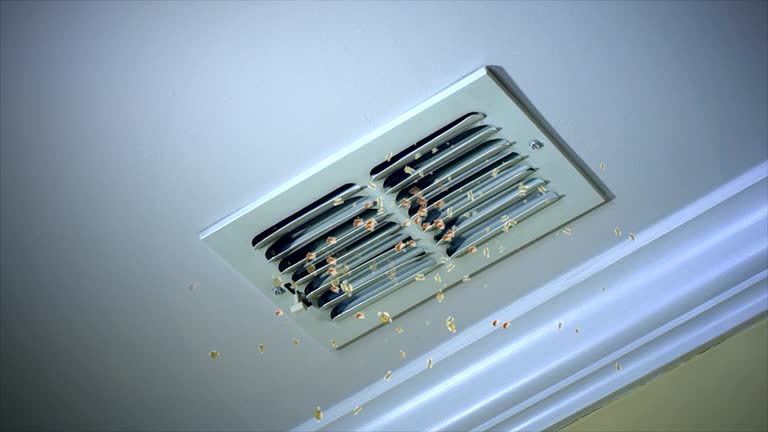 Best HVAC Duct Inspection Services  in Vienna, IL