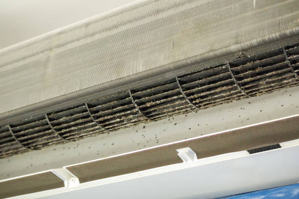 Air Duct Mold Removal in Vienna, IL