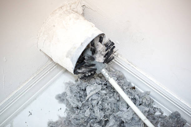 Best Affordable Air Duct Cleaning  in Vienna, IL